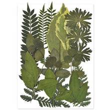 Load image into Gallery viewer, 1 Pack Dried Flowers Resin Natural Flower Stickers Dry Beauty Decal For DIY Epoxy Resin Filling Jewelry Decoration