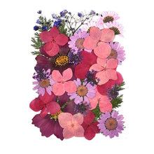 Load image into Gallery viewer, 1 Pack Dried Flowers Resin Natural Flower Stickers Dry Beauty Decal For DIY Epoxy Resin Filling Jewelry Decoration