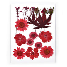 Load image into Gallery viewer, 1 Pack Dried Flowers Resin Natural Flower Stickers Dry Beauty Decal For DIY Epoxy Resin Filling Jewelry Decoration