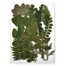 Load image into Gallery viewer, 1 Pack Dried Flowers Resin Natural Flower Stickers Dry Beauty Decal For DIY Epoxy Resin Filling Jewelry Decoration