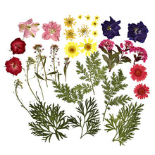 Load image into Gallery viewer, 1 Pack Dried Flowers Resin Natural Flower Stickers Dry Beauty Decal For DIY Epoxy Resin Filling Jewelry Decoration