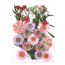 Load image into Gallery viewer, 1 Pack Dried Flowers Resin Natural Flower Stickers Dry Beauty Decal For DIY Epoxy Resin Filling Jewelry Decoration