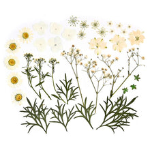 Load image into Gallery viewer, 1 Pack Dried Flowers Resin Natural Flower Stickers Dry Beauty Decal For DIY Epoxy Resin Filling Jewelry Decoration