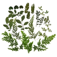 Load image into Gallery viewer, 1 Pack Dried Flowers Resin Natural Flower Stickers Dry Beauty Decal For DIY Epoxy Resin Filling Jewelry Decoration