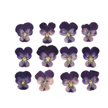Load image into Gallery viewer, 1 Pack Dried Flowers Resin Natural Flower Stickers Dry Beauty Decal For DIY Epoxy Resin Filling Jewelry Decoration