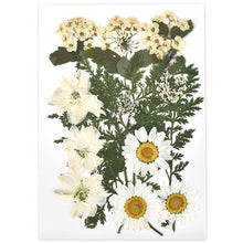 Load image into Gallery viewer, 1 Pack Dried Flowers Resin Natural Flower Stickers Dry Beauty Decal For DIY Epoxy Resin Filling Jewelry Decoration