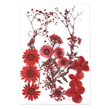 Load image into Gallery viewer, 1 Pack Dried Flowers Resin Natural Flower Stickers Dry Beauty Decal For DIY Epoxy Resin Filling Jewelry Decoration