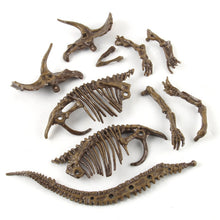 Load image into Gallery viewer, 3D Dinosaur Fossil Excavation Kits Education Archeology Exquisite Toy Set Game Action Children Figure Skeleton Model