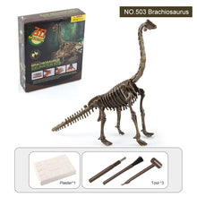 Load image into Gallery viewer, 3D Dinosaur Fossil Excavation Kits Education Archeology Exquisite Toy Set Game Action Children Figure Skeleton Model