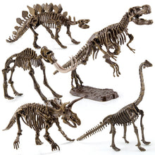 Load image into Gallery viewer, 3D Dinosaur Fossil Excavation Kits Education Archeology Exquisite Toy Set Game Action Children Figure Skeleton Model