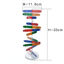 Load image into Gallery viewer, Human Genetic Model DNA Double Helix Diy Biological Science Experiment Equipment Medical Popular Science Teaching AIDS
