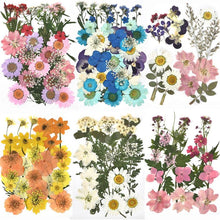 Load image into Gallery viewer, 1 Pack Dried Flowers Resin Natural Flower Stickers Dry Beauty Decal For DIY Epoxy Resin Filling Jewelry Decoration
