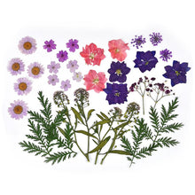 Load image into Gallery viewer, 1 Pack Dried Flowers Resin Natural Flower Stickers Dry Beauty Decal For DIY Epoxy Resin Filling Jewelry Decoration
