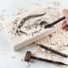 Load image into Gallery viewer, 3D Dinosaur Fossil Excavation Kits Education Archeology Exquisite Toy Set Game Action Children Figure Skeleton Model
