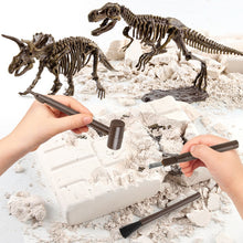 Load image into Gallery viewer, 3D Dinosaur Fossil Excavation Kits Education Archeology Exquisite Toy Set Game Action Children Figure Skeleton Model
